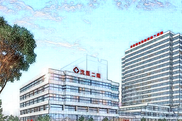 2024沈陽(yáng)二院整形科價(jià)目表_沈陽(yáng)醫(yī)大二院整形科哪個(gè)大夫好