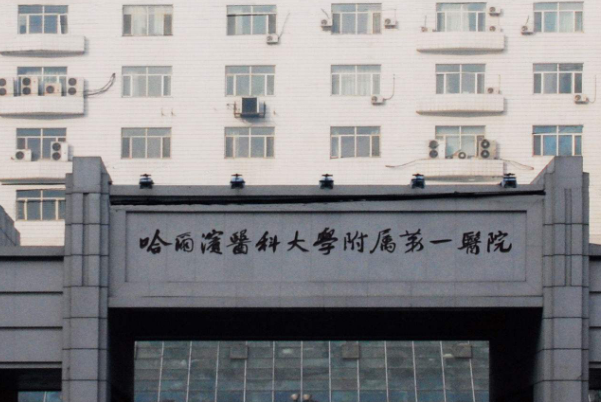 2024哈爾濱醫(yī)科大學(xué)附屬第一醫(yī)院植發(fā)做的怎么樣_哪位醫(yī)生比較好