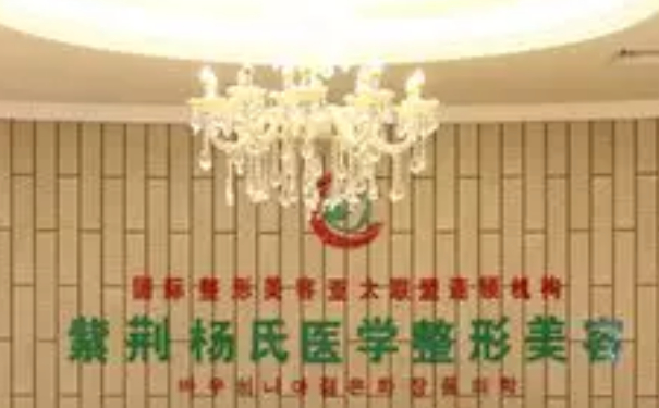 楊氏醫(yī)學(xué)美容診所鼻整形技術(shù)怎么樣?收費標準?案例點評