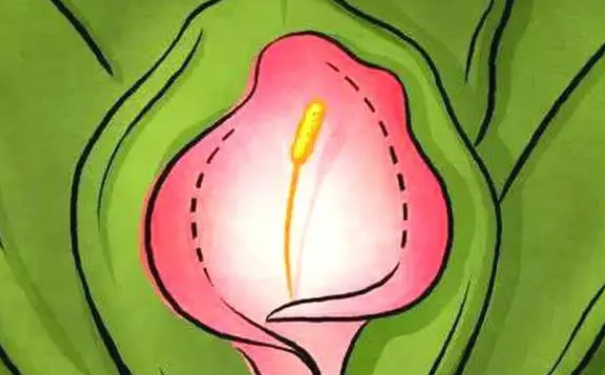 北京彤美醫(yī)療美容門診部私密整形技術(shù)亮點(diǎn)怎么樣?野生案例&需要多少錢