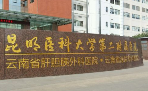 昆明醫(yī)科大學第二附屬醫(yī)院何永靜脂肪隆胸怎么樣?價格查詢?案例評價&技術評價
